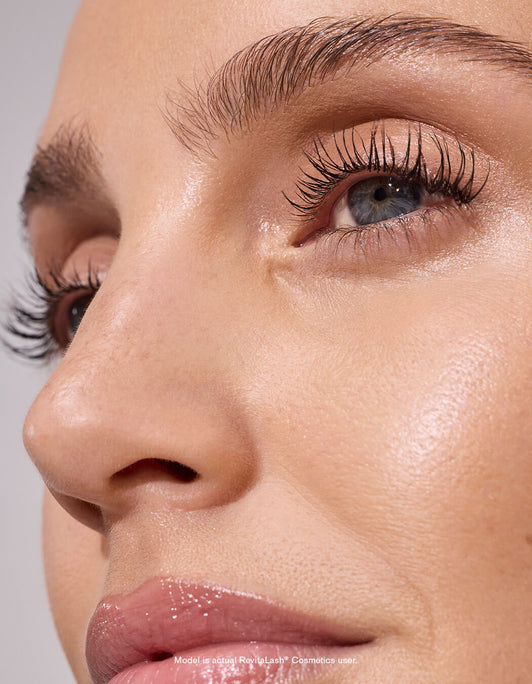 Spotlight on Brows Collection