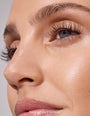 Spotlight on Brows Collection